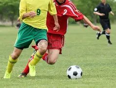 德天空,法兰克福欧,冠之路上,网球比分捷报网,网球赛事比分,网球比赛数据,网球赛事资讯,网球平台